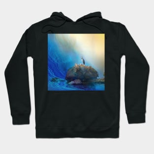 Seaward Hoodie